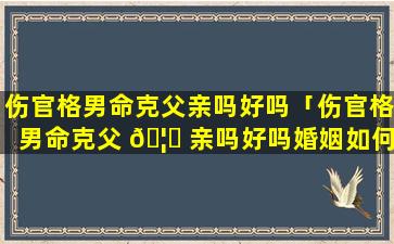 伤官格男命克父亲吗好吗「伤官格男命克父 🦋 亲吗好吗婚姻如何」